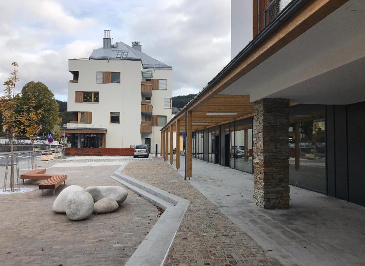 Wellness Rezidence Javor, Ubytovani Se Zasklenou Terasou V Centru Zelezne Rudy Železná Ruda Exterior foto